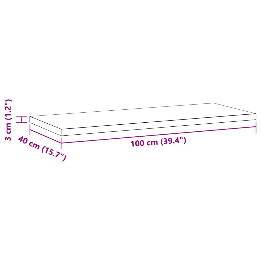 vidaXL Wandschappen 2x RVS 100cm -35%! Zo Goed Als Nieuw