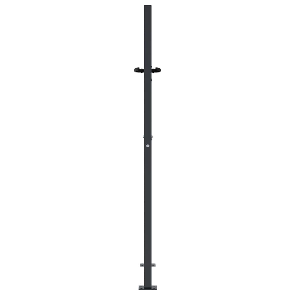 vidaXL Poort 105x155cm Antraciet - 60% Korting!