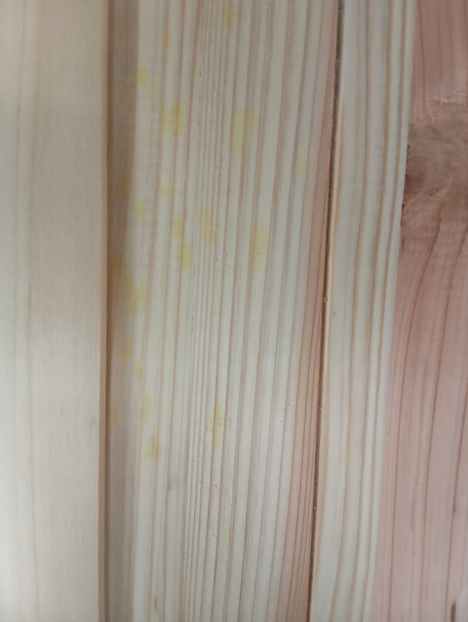 Tuinschuur Vurenhout 55x52x174cm - 55% Korting! Verkleuring