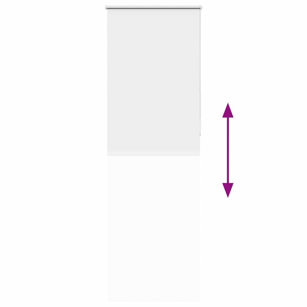 vidaXL Verduisterend Rolgordijn Wit 70x210cm - 35% Korting!
