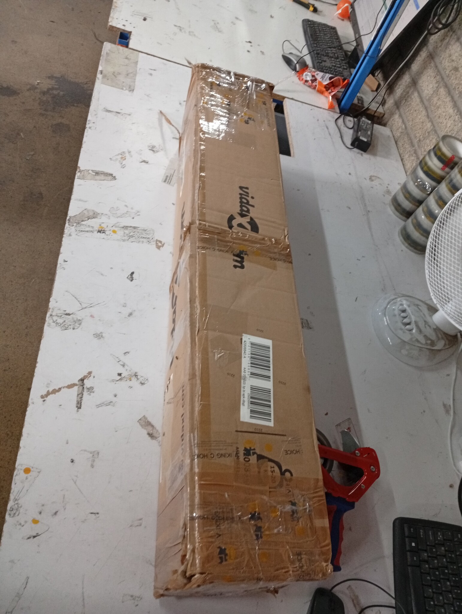 vidaXL Hekpoort dubbele deur met speren bovenkant 300x150 cm