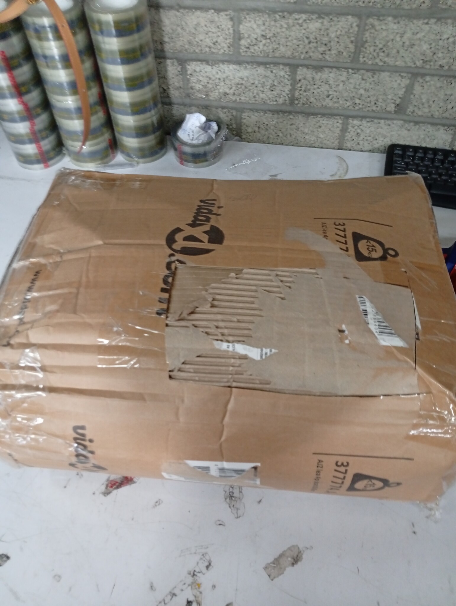 vidaXL Bankkussens Bladpatroon 50x50cm (4 stuks) - Retourdeal!
