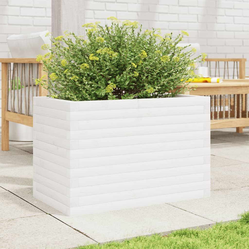 VidaXL Plantenbak Grenenhout Wit 55% Korting! Krasjes