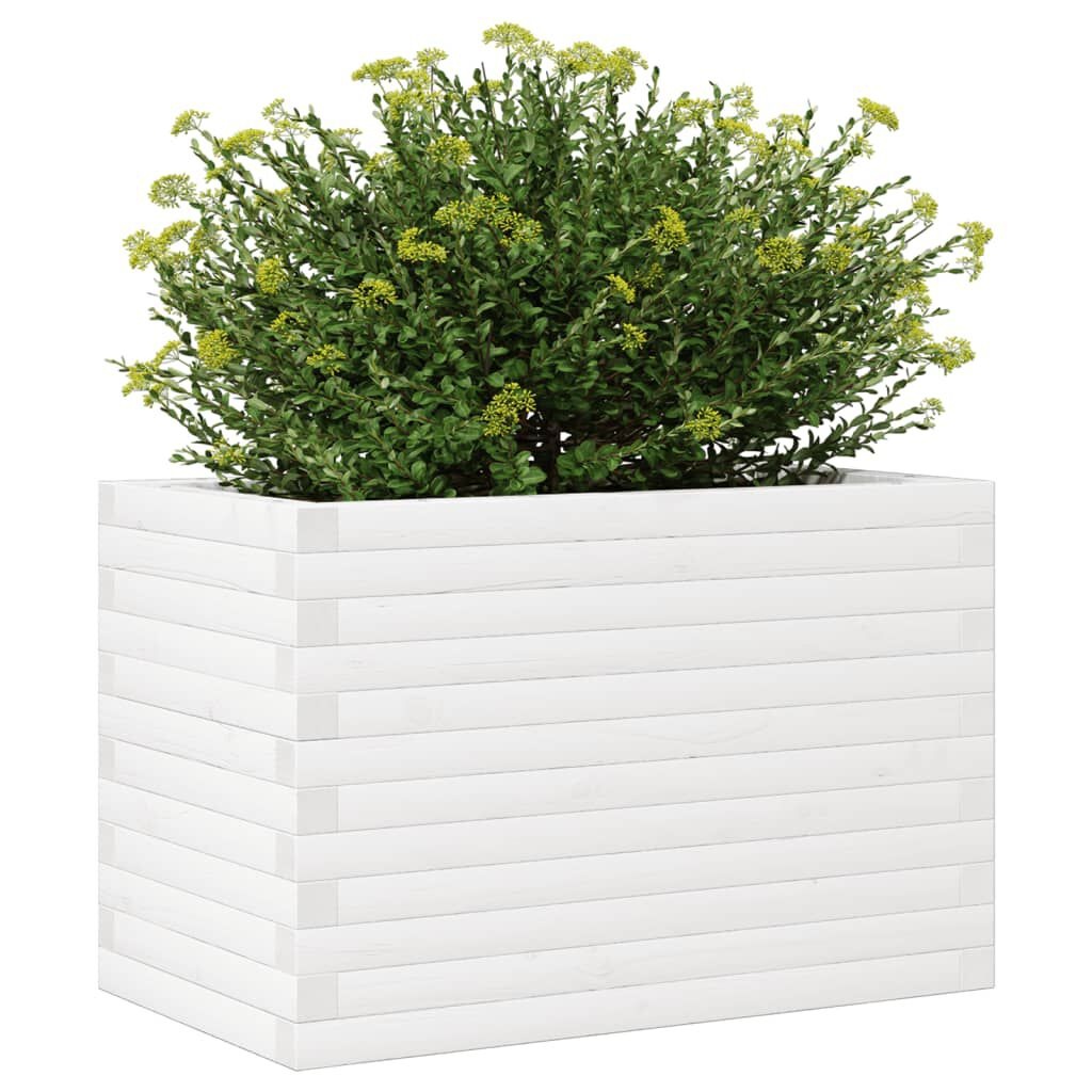 VidaXL Plantenbak Grenenhout Wit 55% Korting! Krasjes