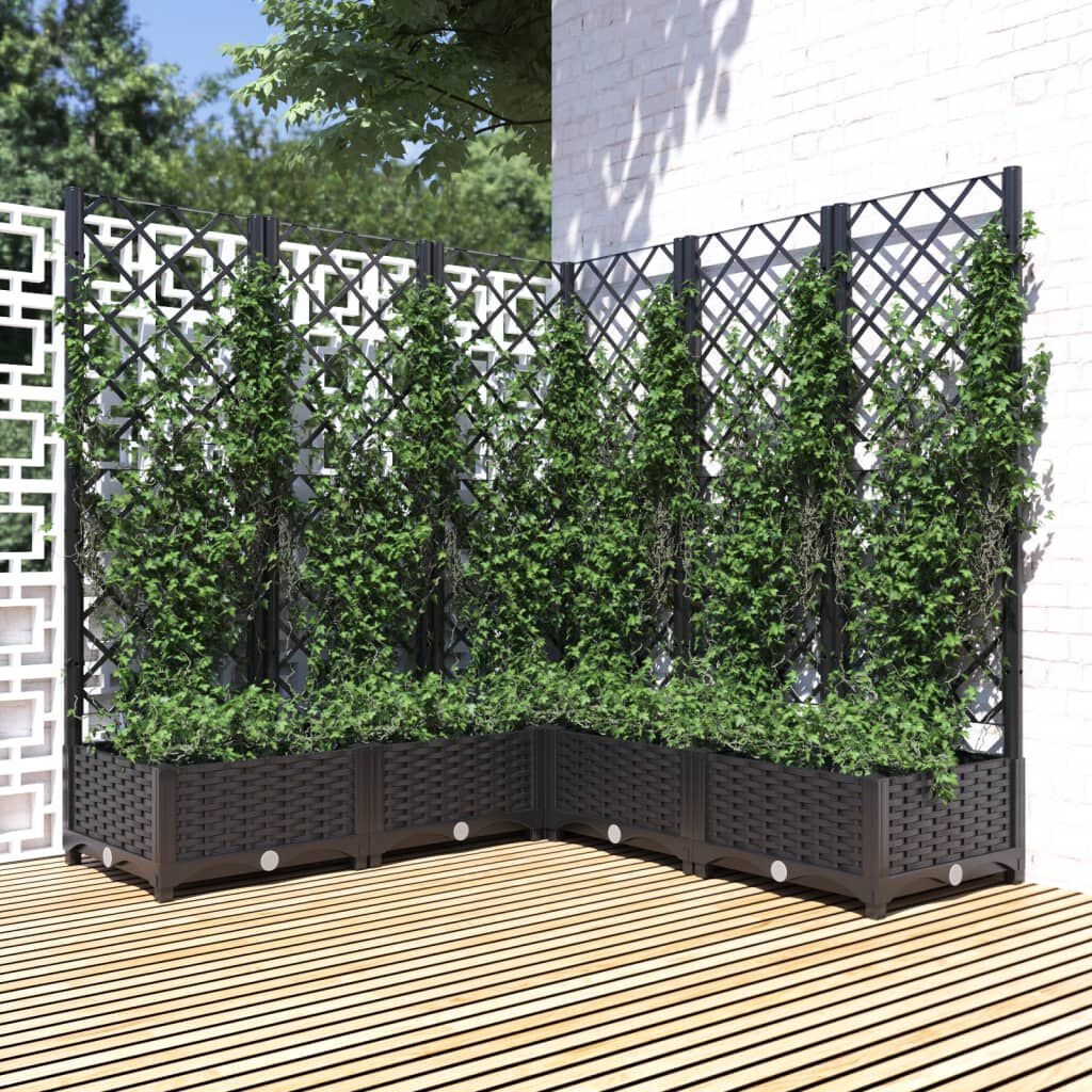 Plantenbak met Latwerk 120x120cm Zwart - 40% Korting!