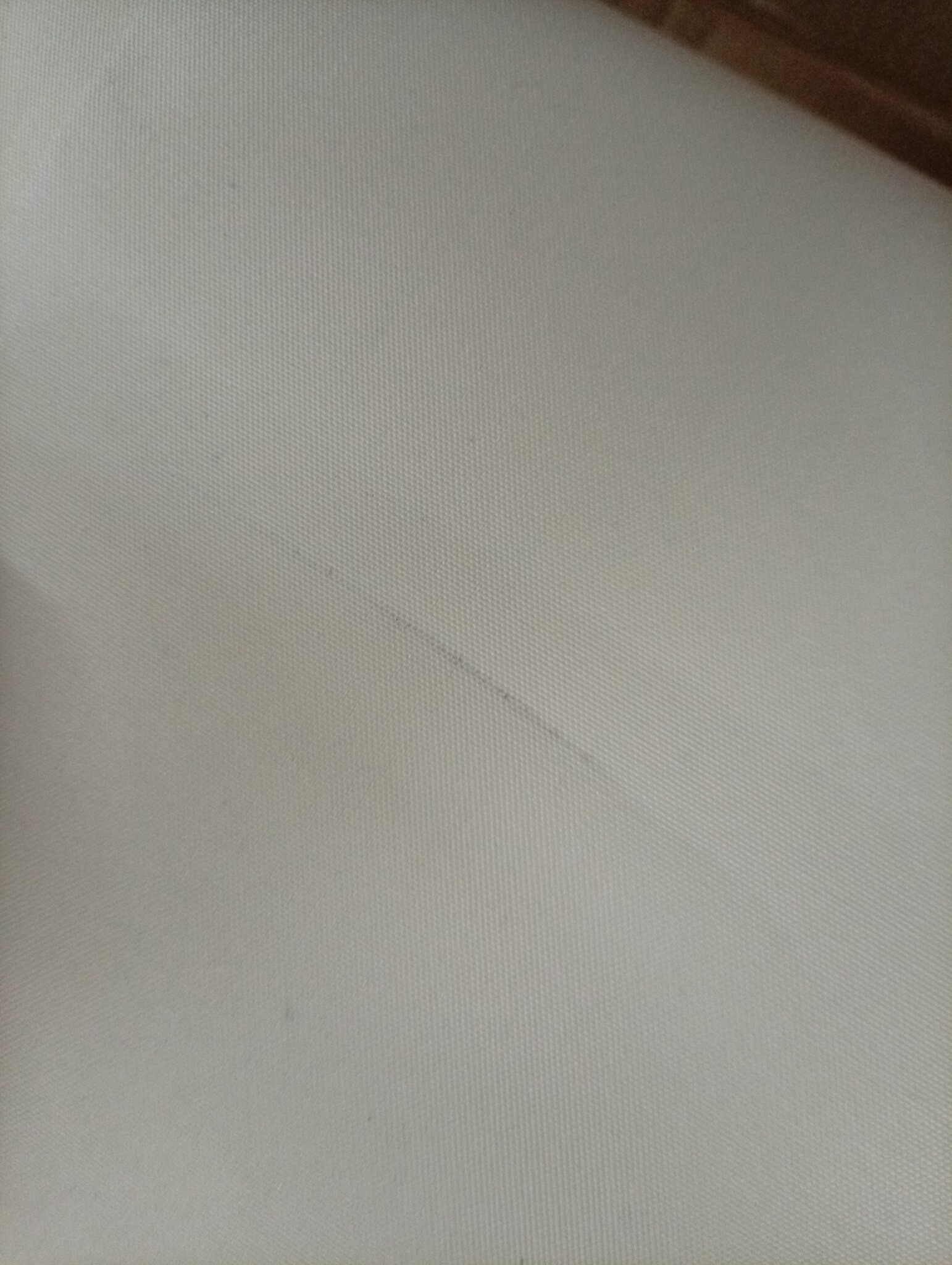 VidaXL Uittrekbaar Windscherm Crème 160x1000cm -55%!