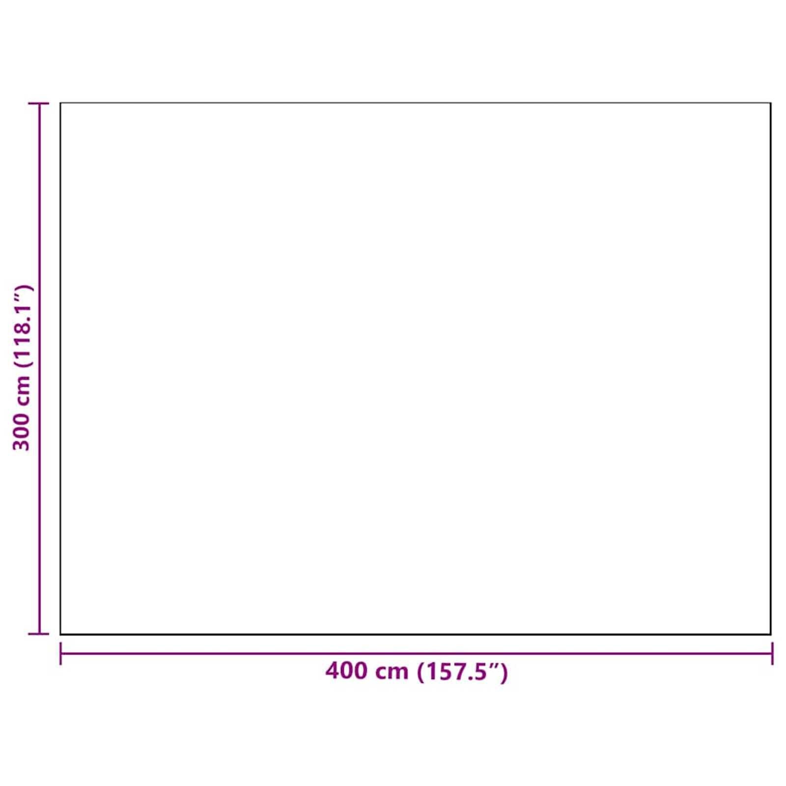 vidaXL Buitentapijt Grijs 300x400cm - 40% Korting!