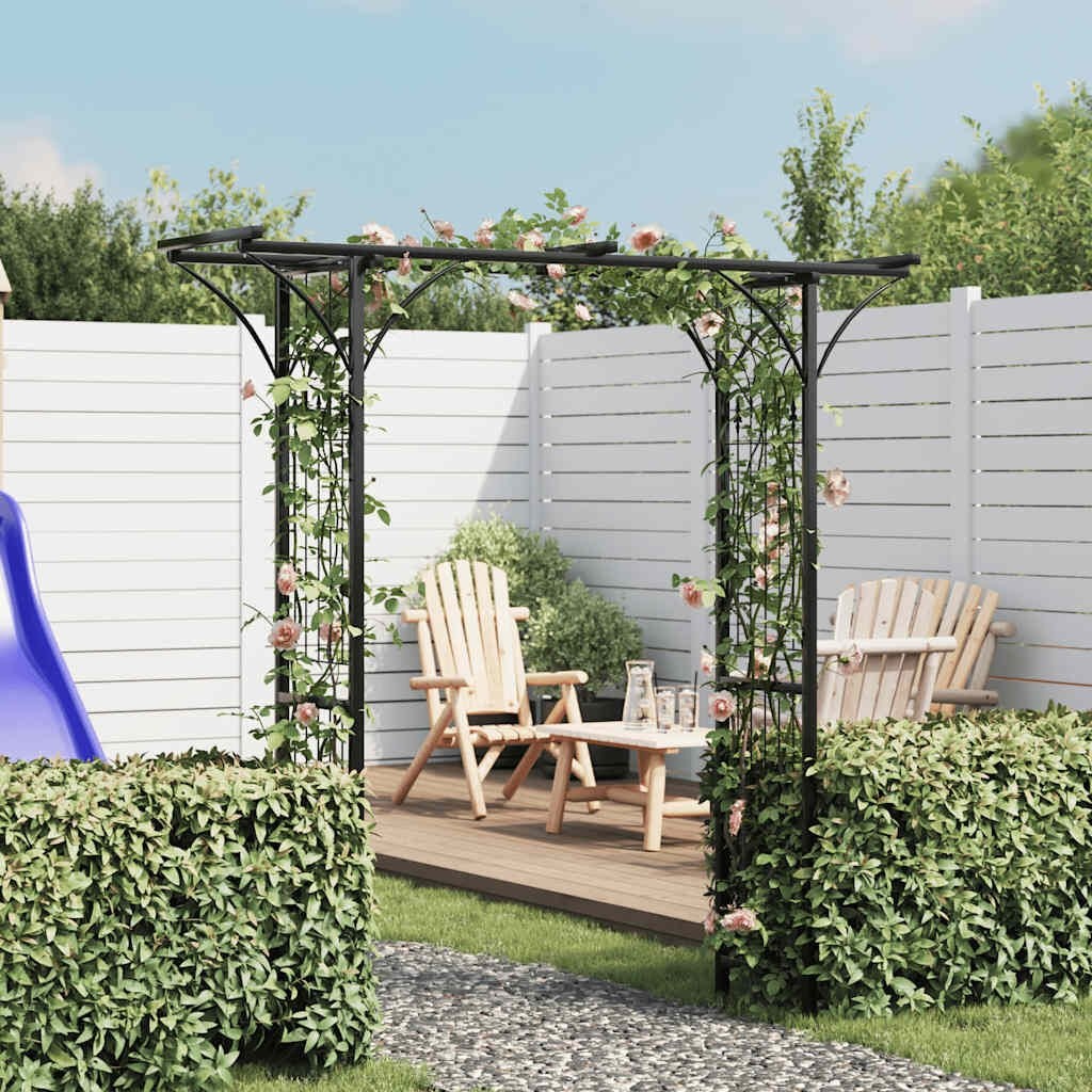 Tuinboog 200x204 cm - Zwart Metaal - 40% Korting!