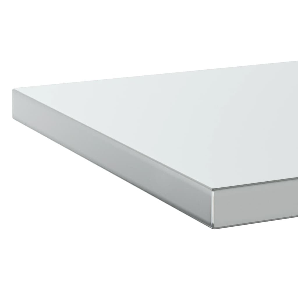 Wandschappen RVS 50x40cm (2 stuks) -55% Korting! Krasjes