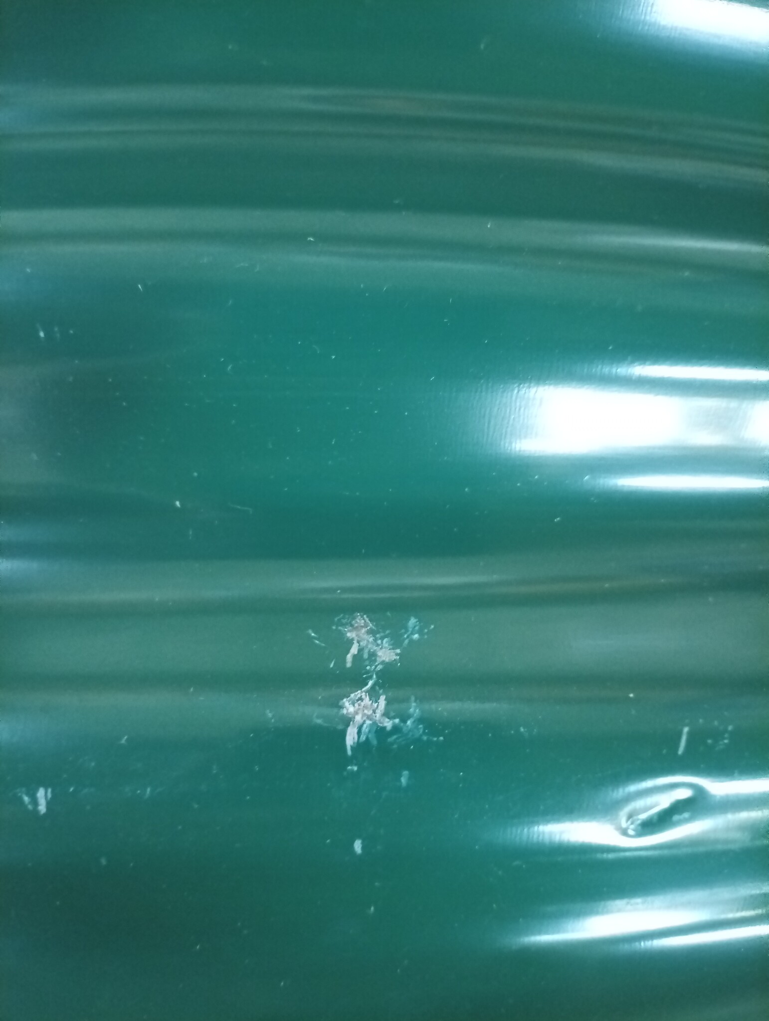 vidaXL Plantenbak 368x80x36 cm gepoedercoat staal groen