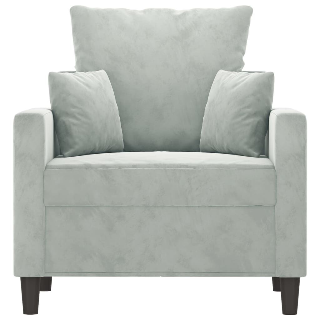 vidaXL Fauteuil 60 cm fluweel lichtgrijs