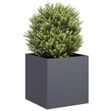vidaXL Plantenbak 40x40x40 cm Antraciet - 40% Korting!