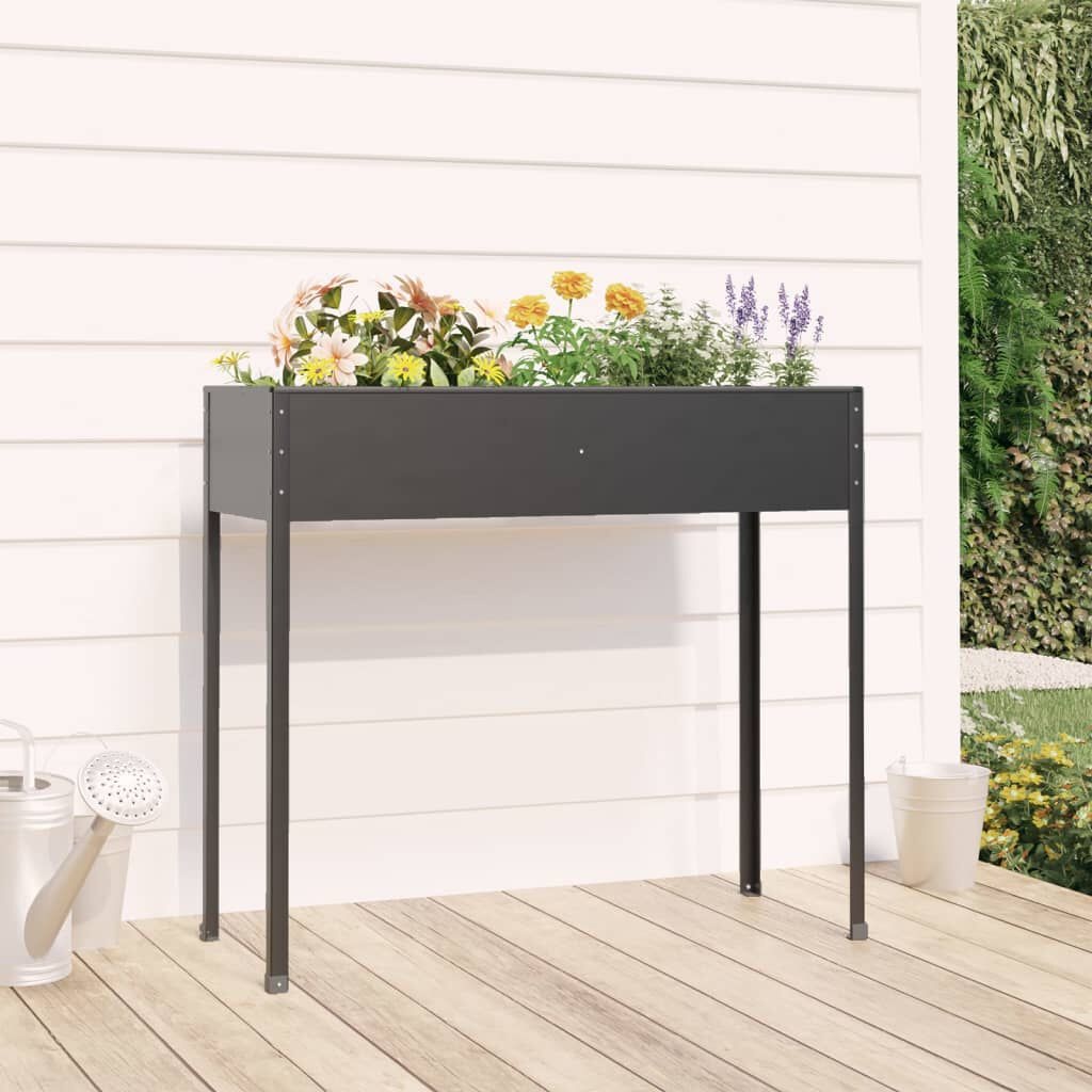 vidaXL Plantenbak Antraciet 100cm - 60% Korting! Krasjes