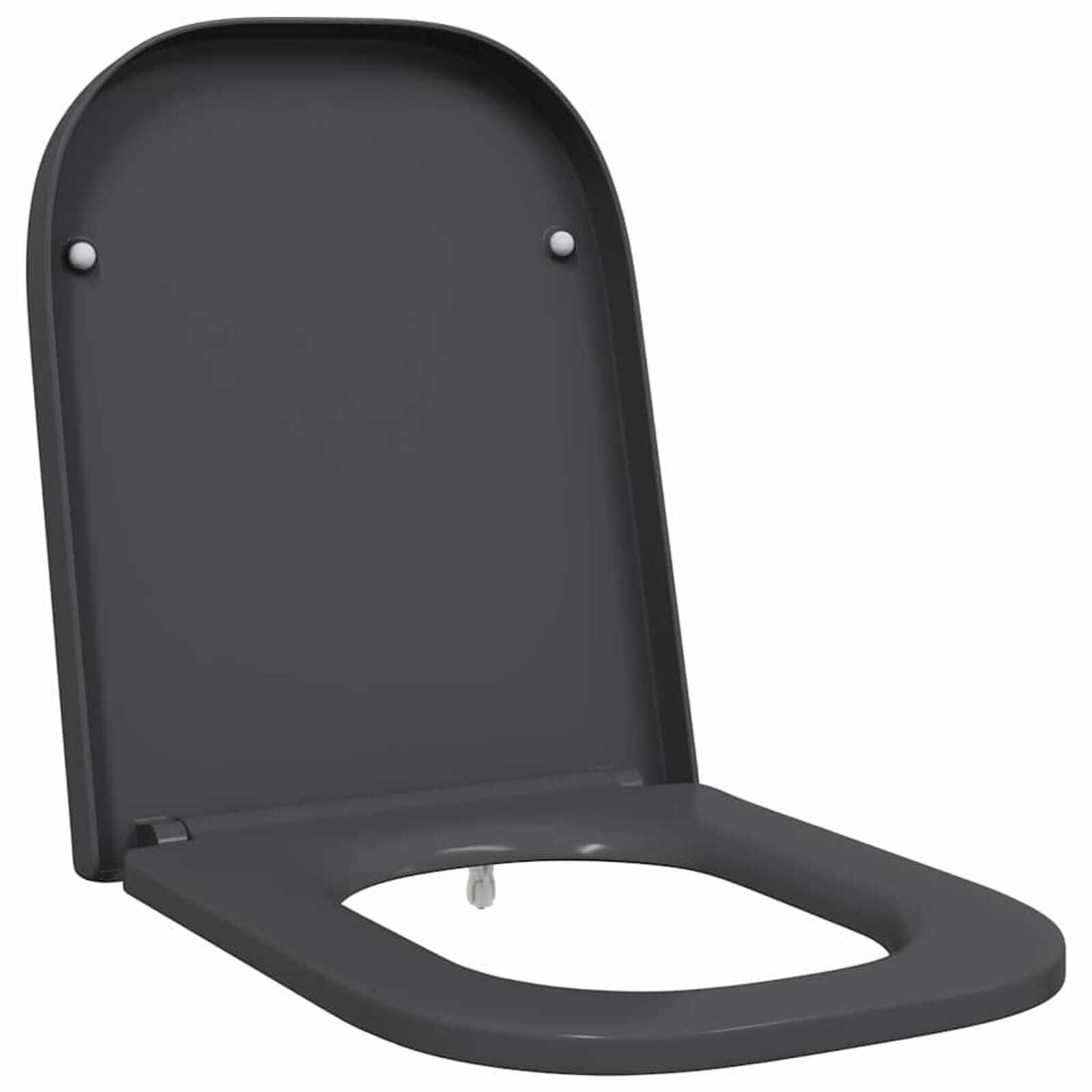 VidaXL Toiletzitting Antraciet - 40% Korting! (Zo Goed Als Nieuw)