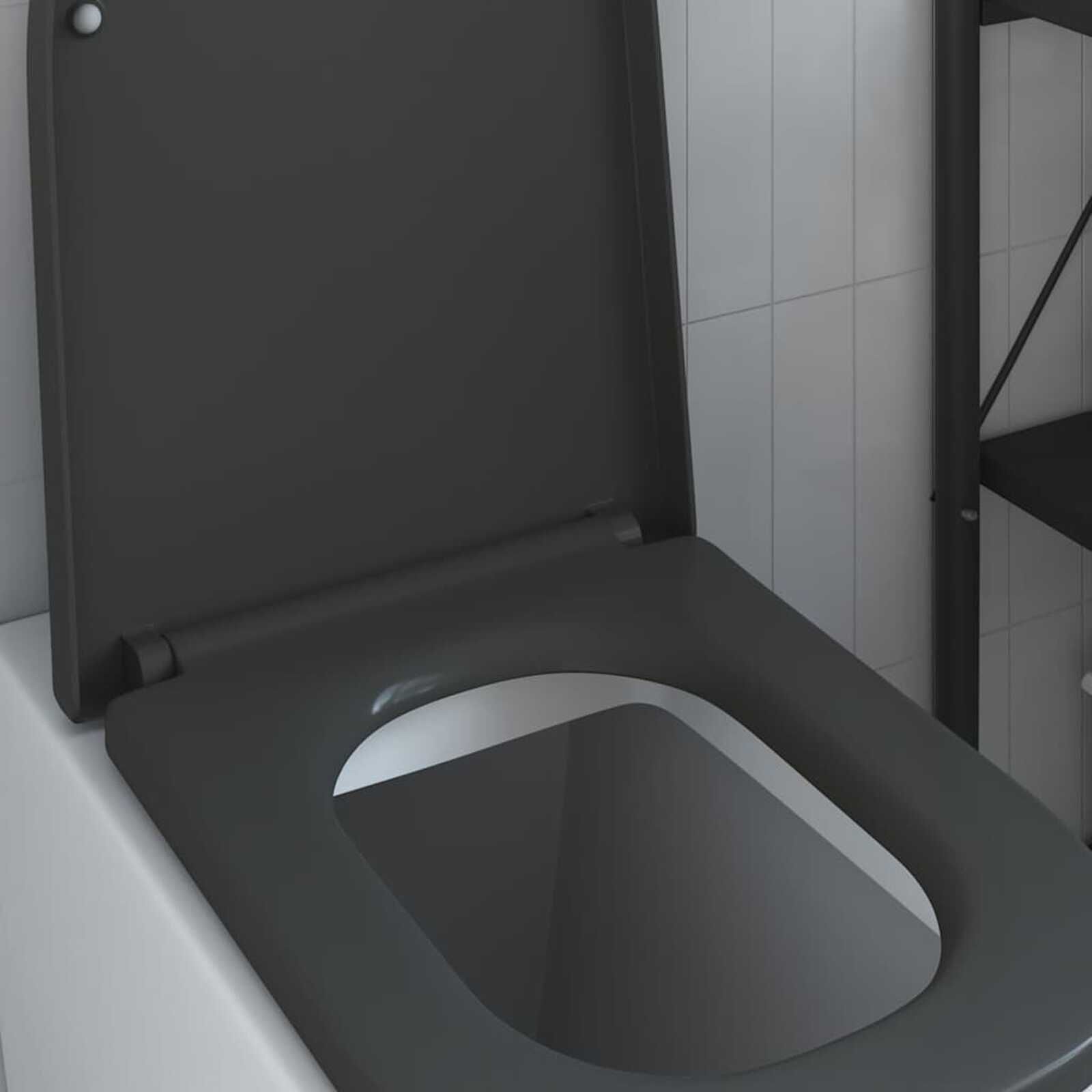 VidaXL Toiletzitting Antraciet - 40% Korting! (Zo Goed Als Nieuw)
