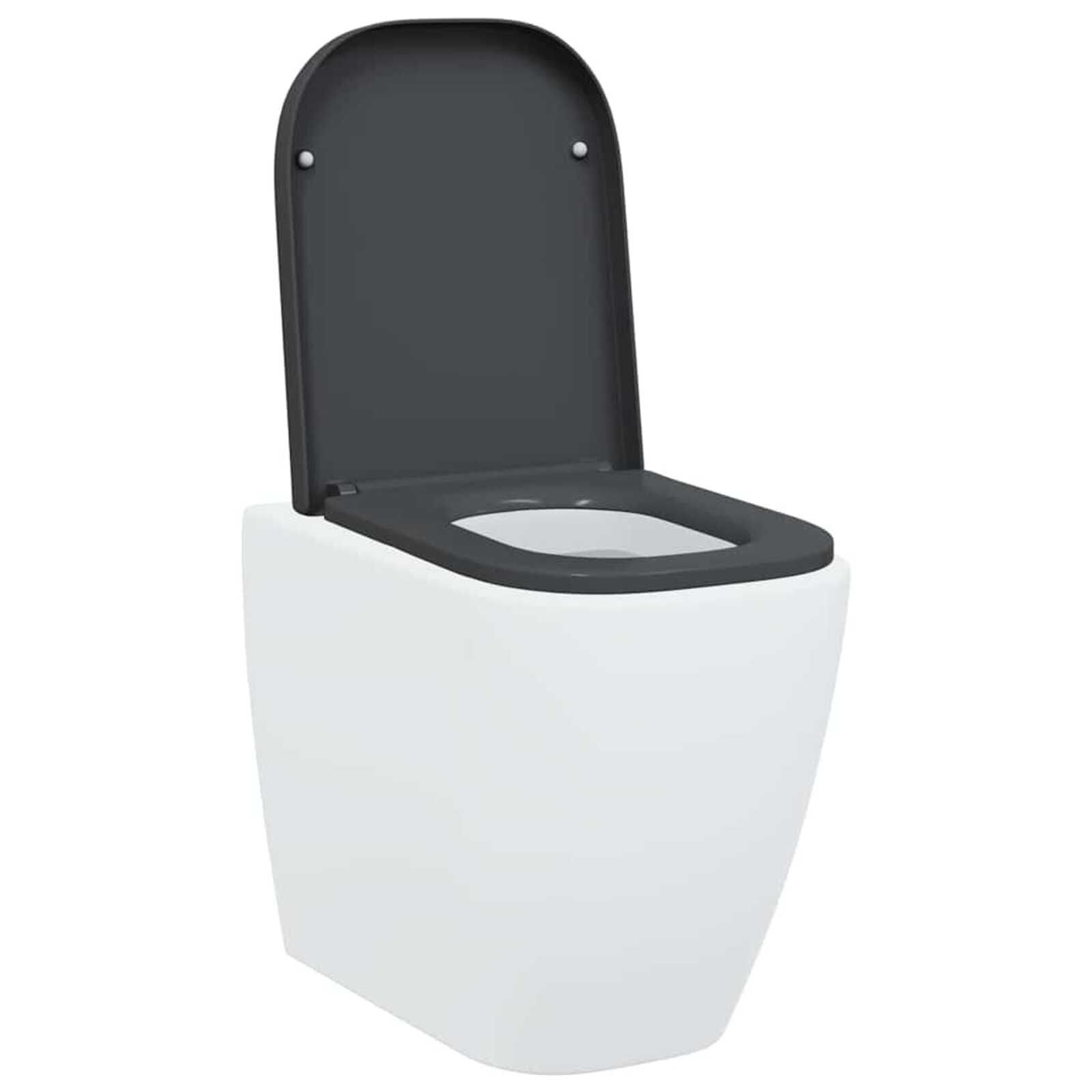 VidaXL Toiletzitting Antraciet - 40% Korting! (Zo Goed Als Nieuw)