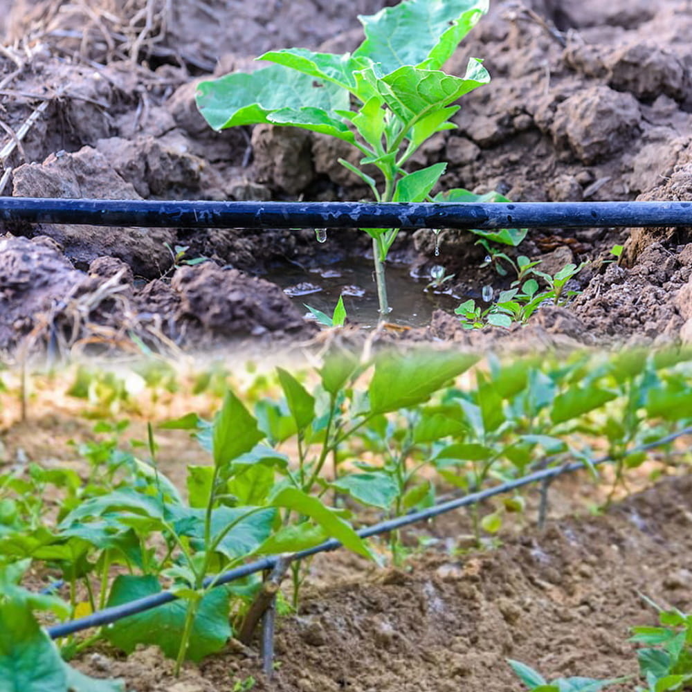 Druppelslang 50m - Zwart - 40% Korting! Topdeal!