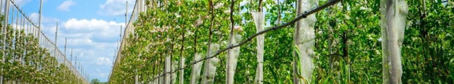 Druppelslang 50m - Zwart - 40% Korting! Topdeal!