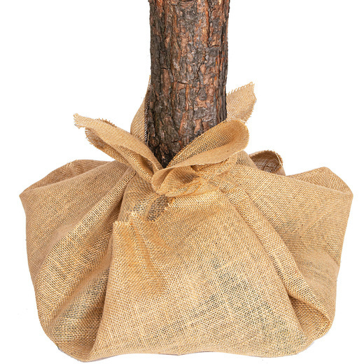 Kunstkerstboom 190 cm Spar met Houten Stam - 40% Korting!
