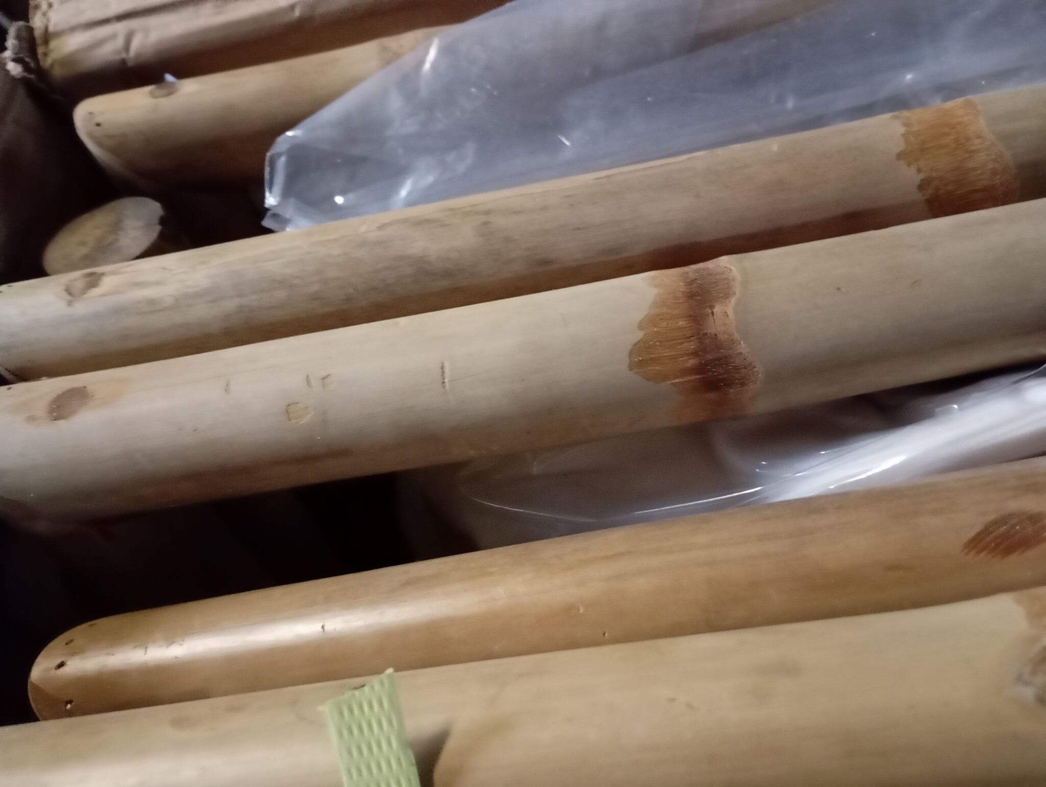 Tuinstoelen Bamboe (2 st) met Kussens - 55% Korting!