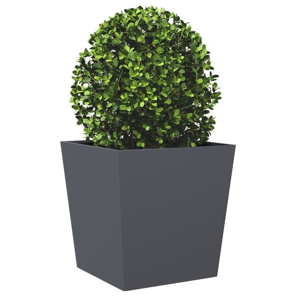 vidaXL Plantenbakken (2x) 50x50cm Antraciet - 60% Korting!