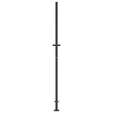 vidaXL Poort 105x180cm Antraciet - 55% Korting! Krasjes