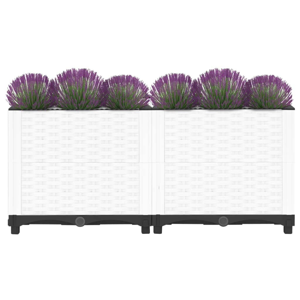 VidaXL Verhoogde Plantenbak 80x40cm - 40% Korting!