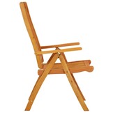 VidaXL Tuinstoelen (2x) Eucalyptus -46%! Inklapbaar, Zo Goed Als Nieuw