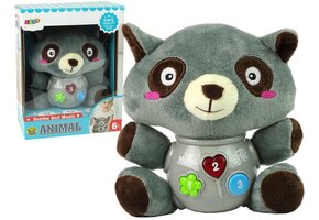 Interactieve Baby Wasbeer - Met Geluid & Licht - 56% Korting!