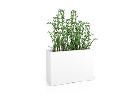 Plantenbak LONGERINO Wit 100x35x70cm | 40% Korting | Binnen & Buiten