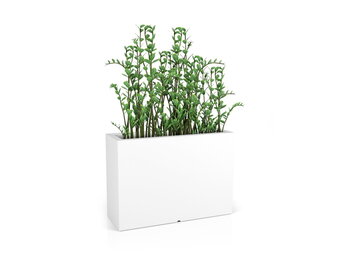 Plantenbak LONGERINO Wit 100x35x70cm | 40% Korting | Binnen & Buiten