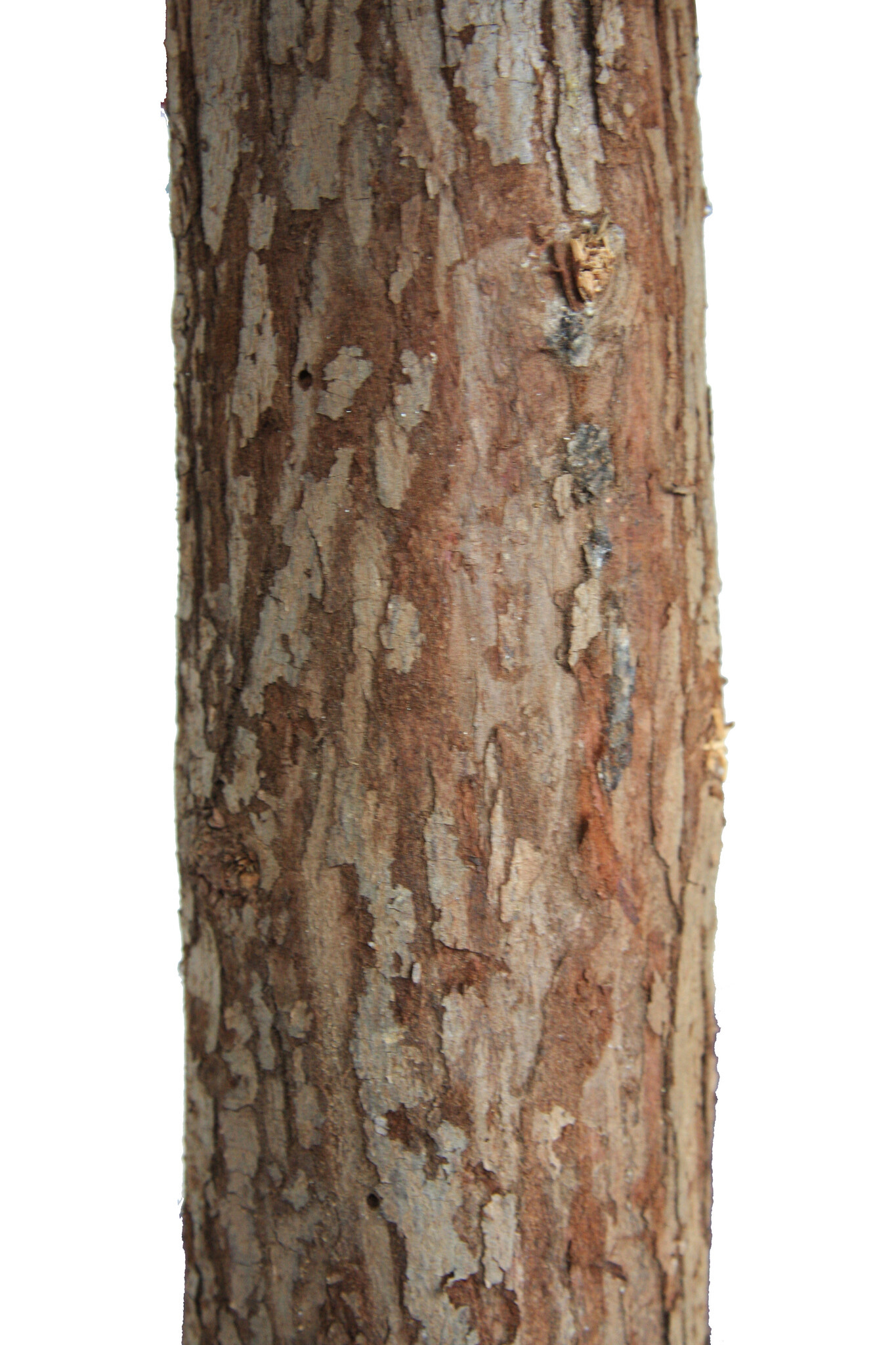 Kunstkerstboom 180cm met Sneeuw & Glitters | 40% Korting!