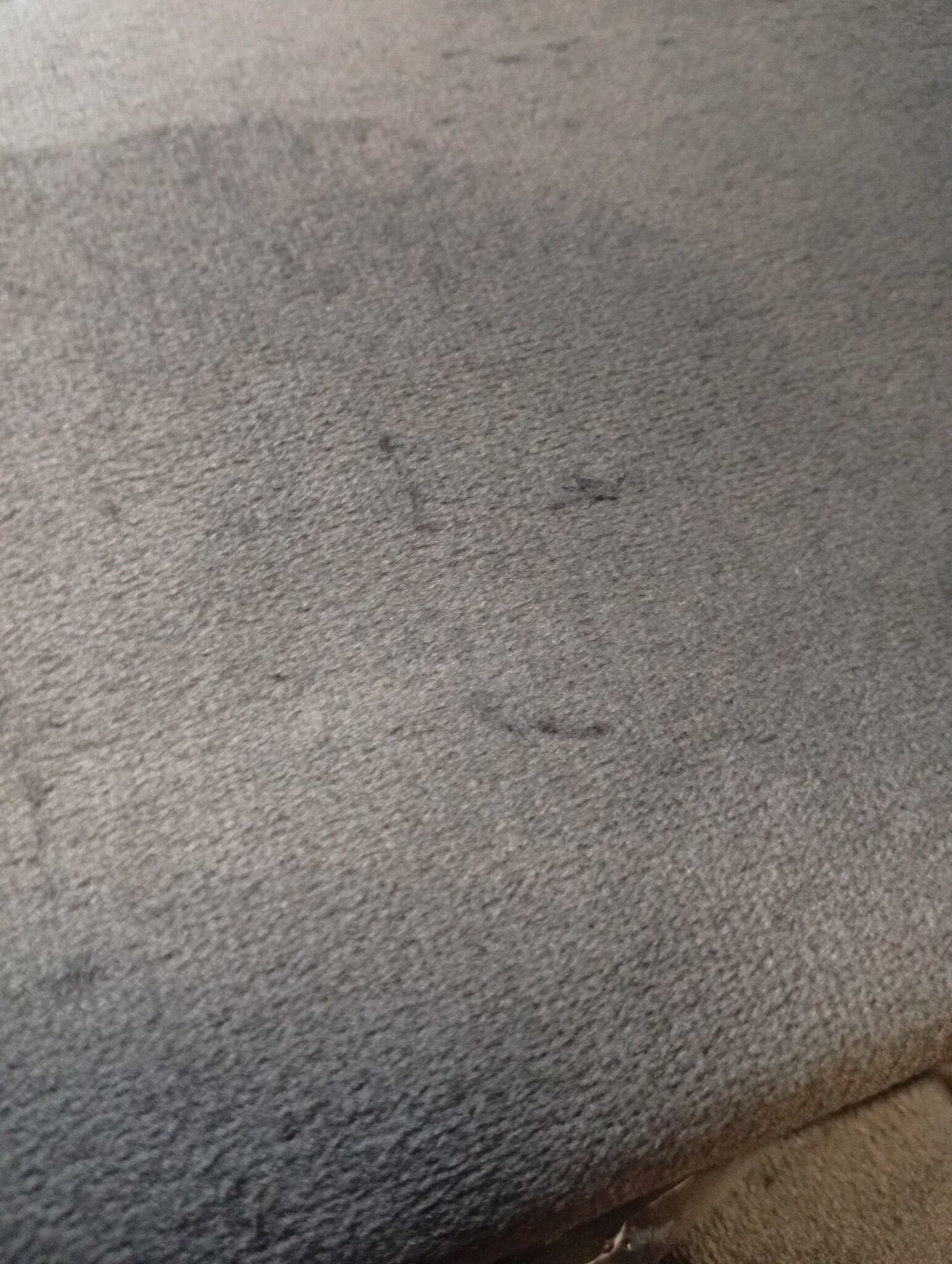 vidaXL Bedframe Fluweel Donkergrijs 140x200 cm - 55% Korting!