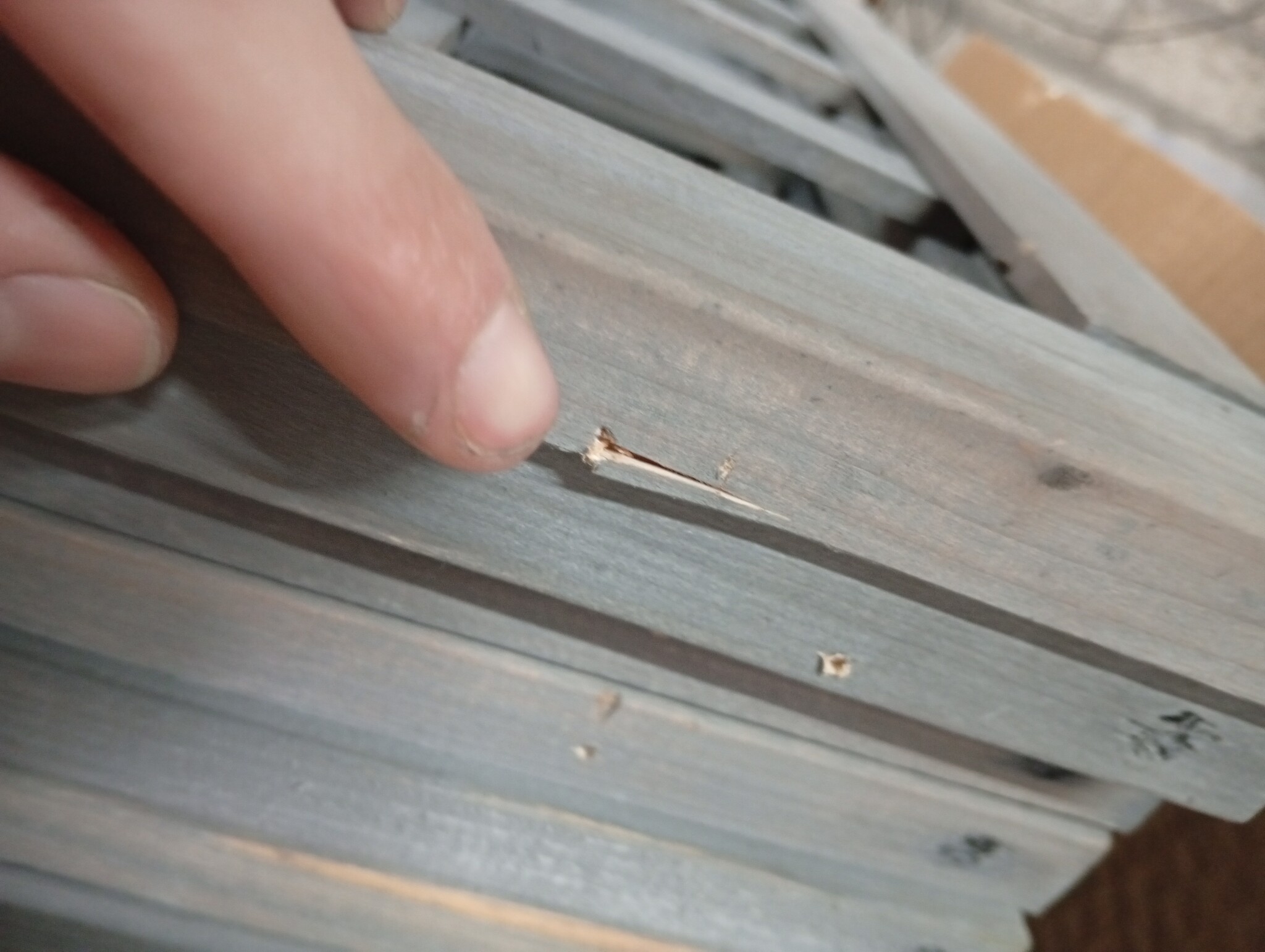 vidaXL Kamerscherm/Trellis - 161x180cm Vurenhout Grijs - 55% Korting!