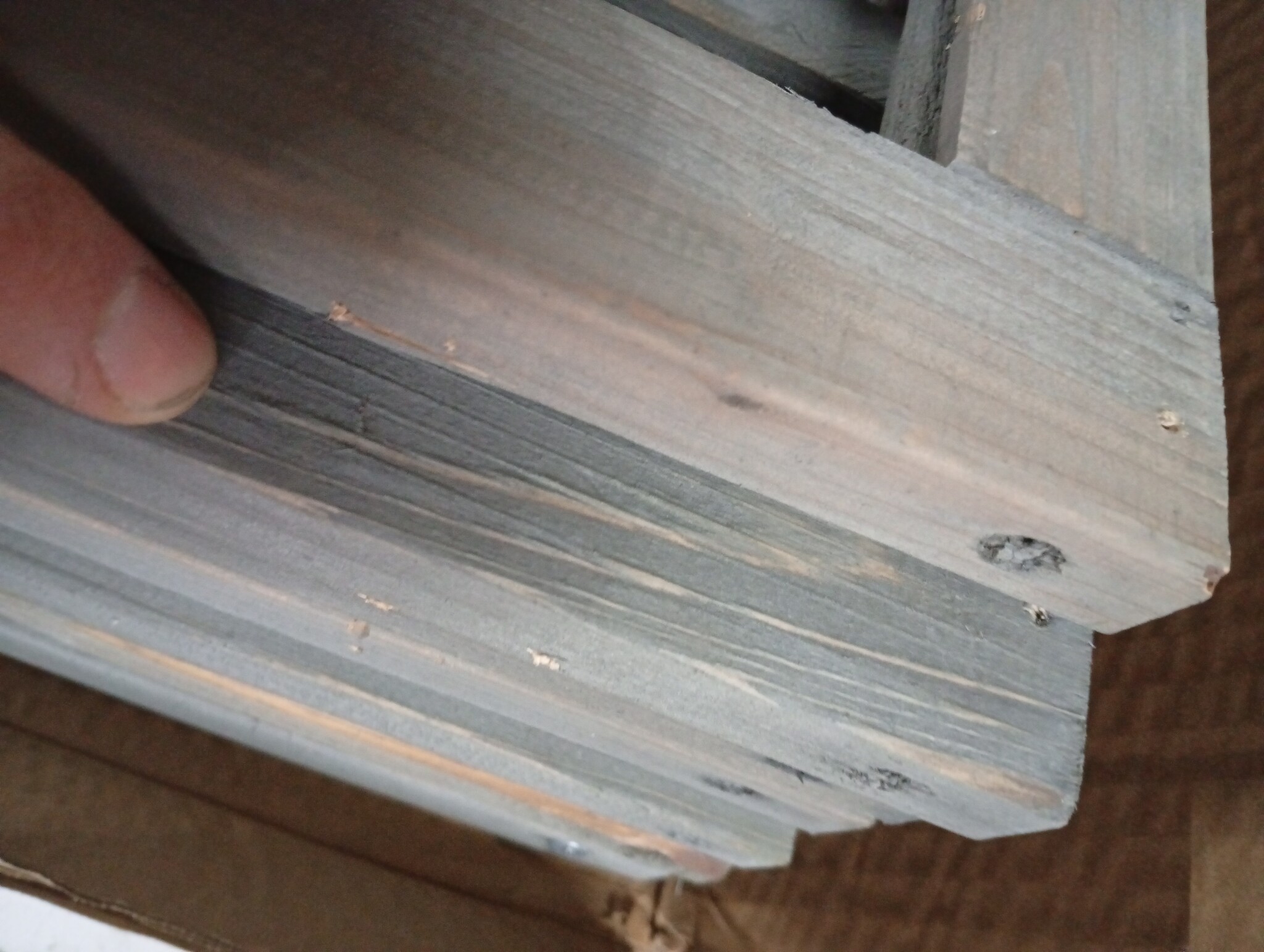 vidaXL Kamerscherm/Trellis - 161x180cm Vurenhout Grijs - 55% Korting!