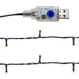 vidaXL Kerstslinger LED 10m Zwart - 40% Korting! Nu 1 Stuk!