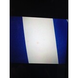 vidaXL Palletkussens 2 st stof gestreept wit en blauw