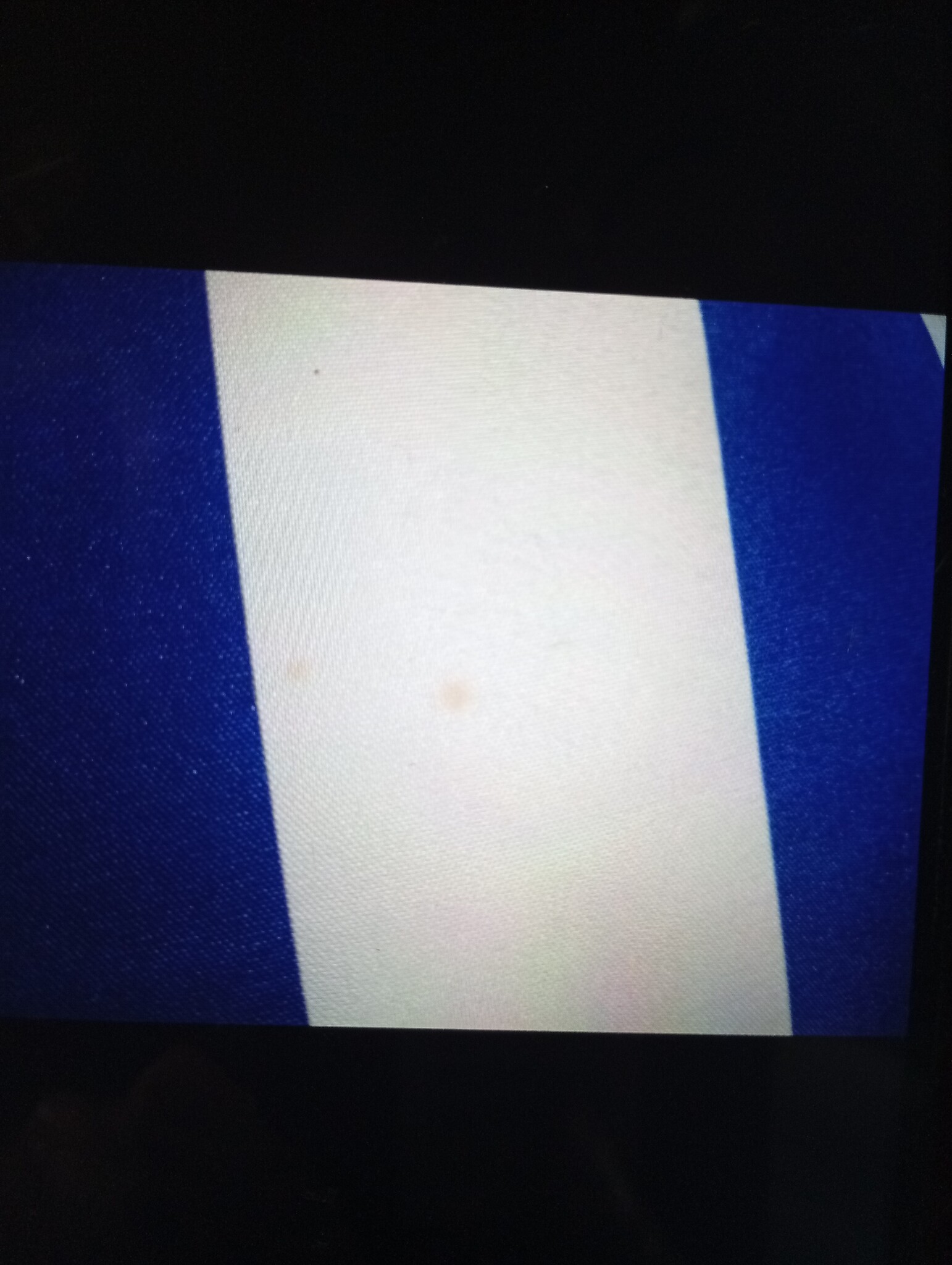 vidaXL Palletkussens 2 st stof gestreept wit en blauw