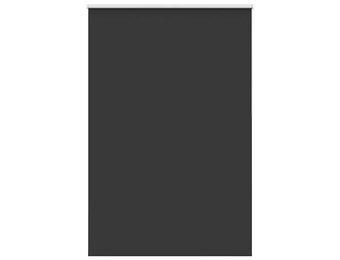 vidaXL Rolgordijn verduisterend 165x210 cm stofbreedte 161,6 cm zwart