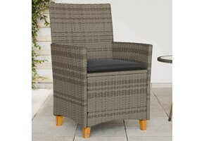 vidaXL Tuinstoelen 2 st. Poly rattan & Hout | 68% KORTING | Kras