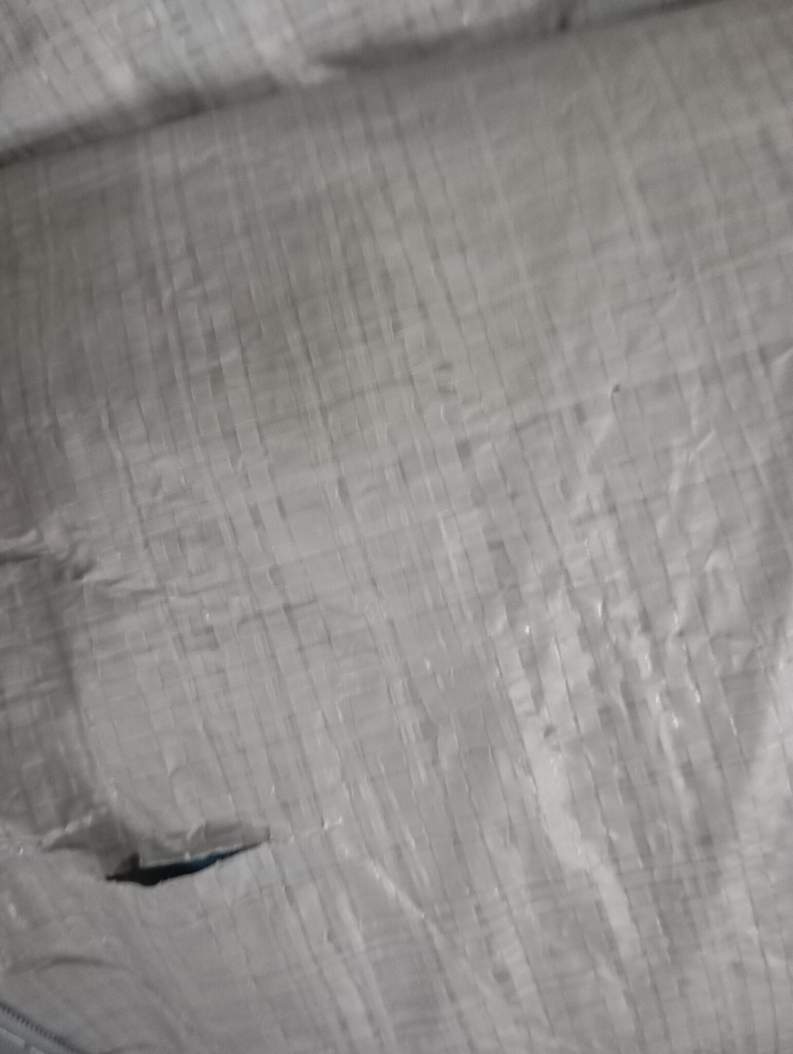 VidaXL 16-persoons Tunneltent Blauw (60% Korting!) - Licht beschadigd