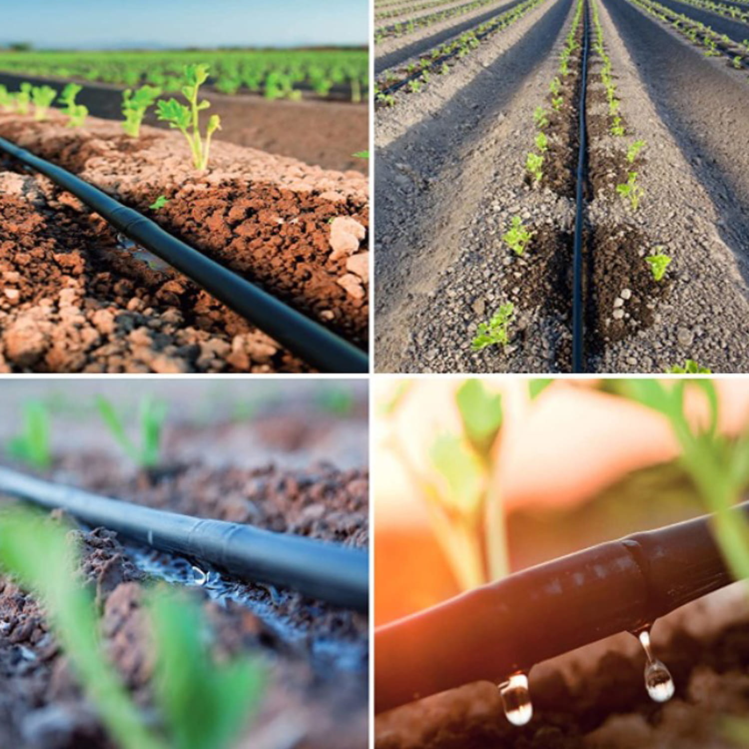 Druppelslang 50m Zwart - 61% Korting! | Ideaal voor Tuin & Kassen