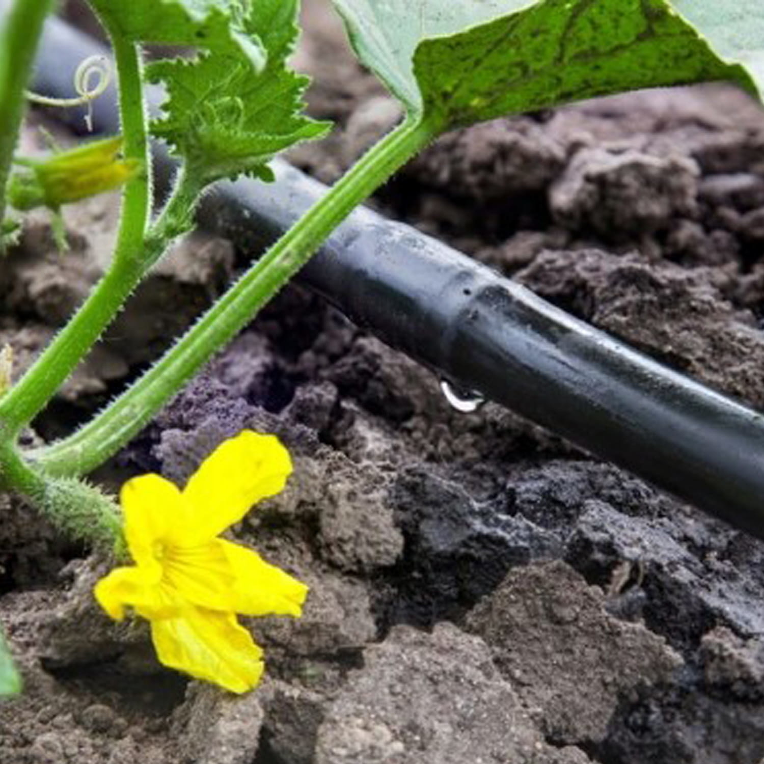 Druppelslang 50m Zwart - 61% Korting! | Ideaal voor Tuin & Kassen