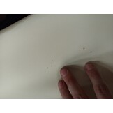 VidaXL Rolgordijn Buiten Crème - 100x270cm | 67% Korting!