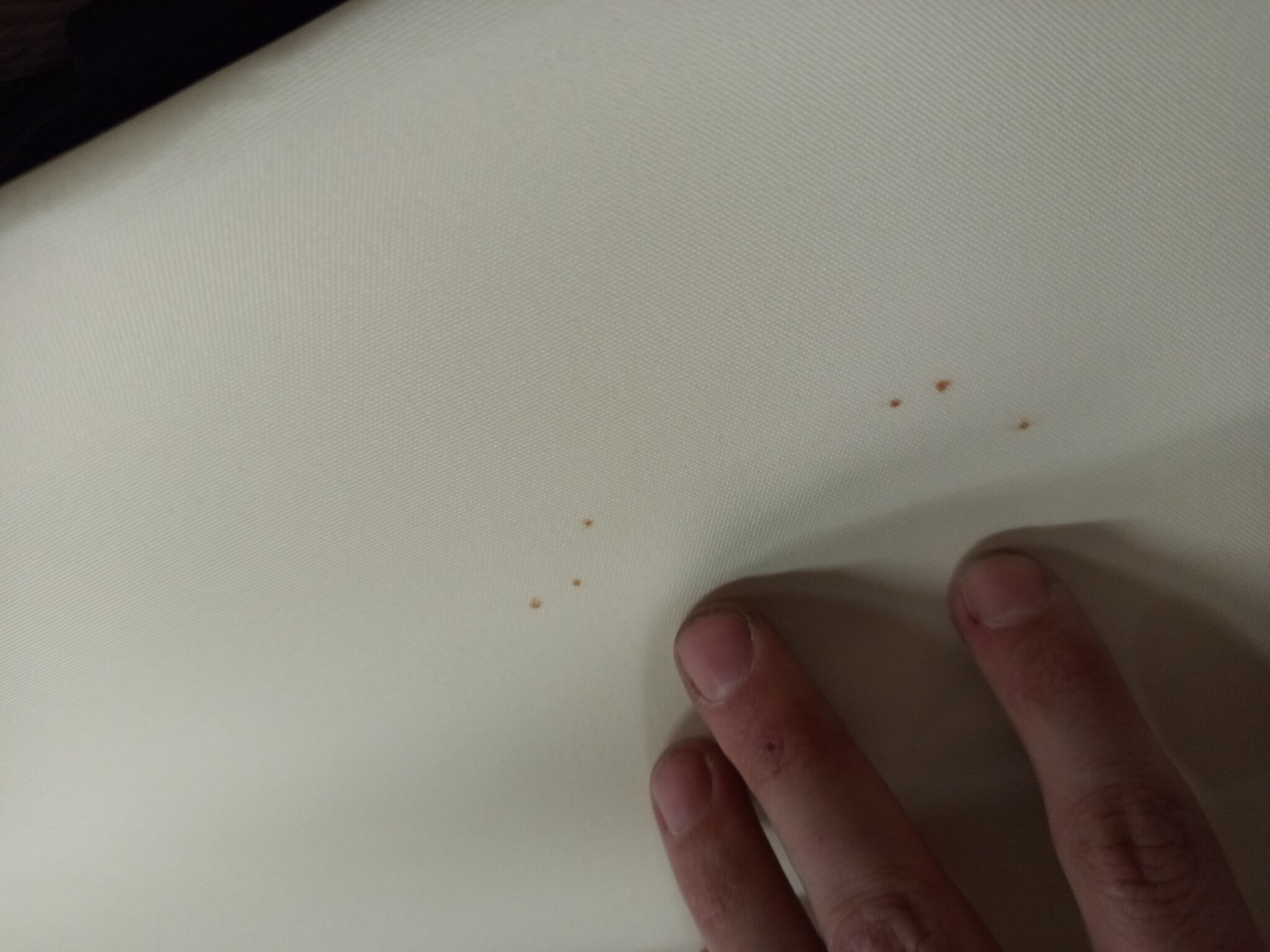 VidaXL Rolgordijn Buiten Crème - 100x270cm | 67% Korting!