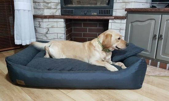 Hondenmand antraciet 120x90 cm - wasbaar hondenkussen - waterdicht hondenbed