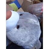 XL Knuffelbeer Grijs 160cm - 60% Korting! Met Hartje