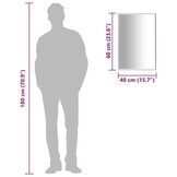 vidaXL Spiegel 60x40 cm Zilver - 35% Korting! Sfeervolle Decoratie