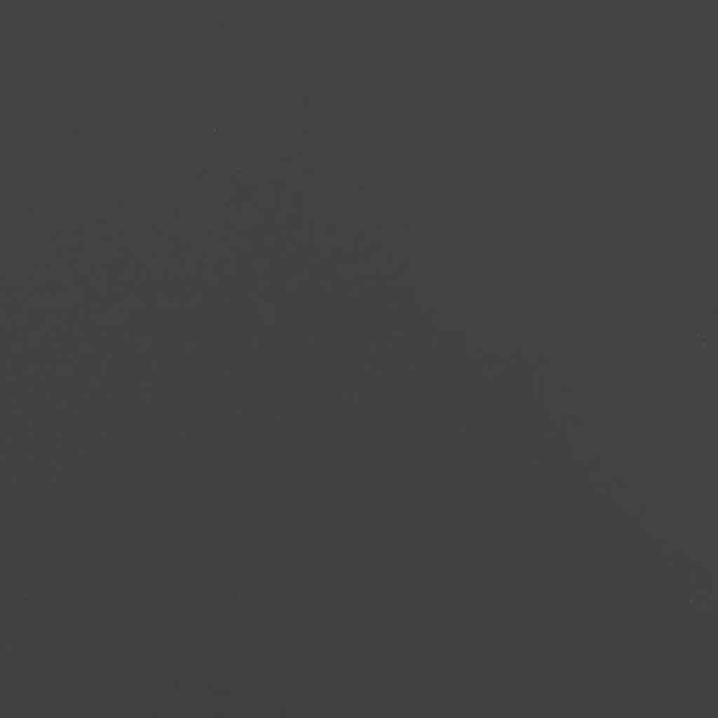 vidaXL Plantenbak Staal Zwart 120x80x80 cm - 67% Korting!