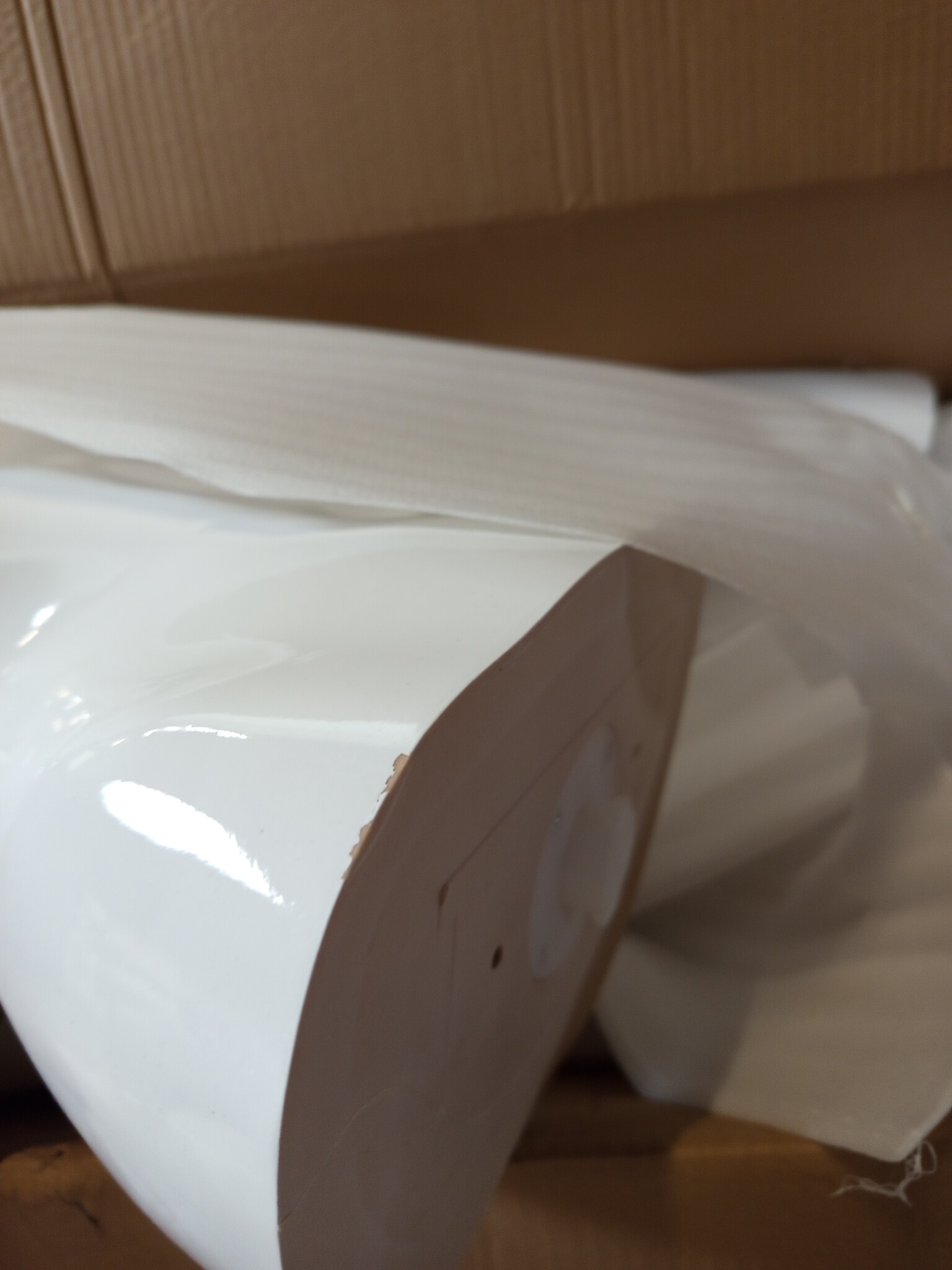 vidaXL Vrouwelijke Etalagepop Glanzend Wit - 175cm (55% Korting!)